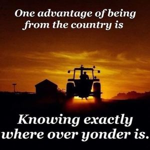 Meet your Posher, Luis